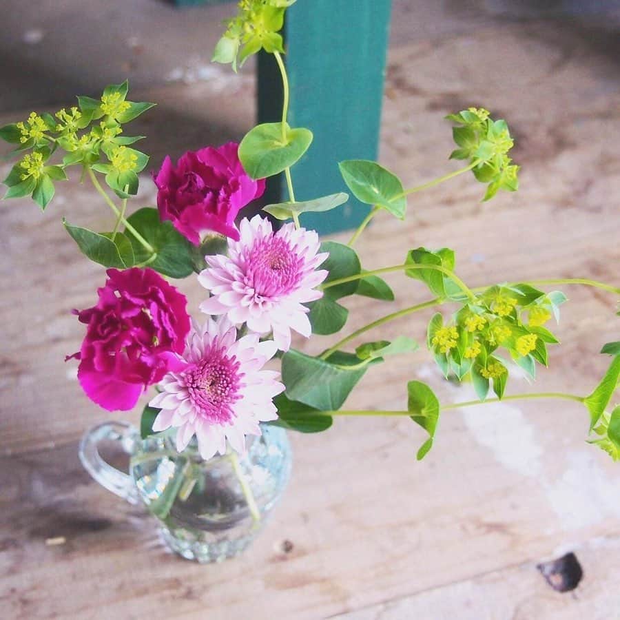 Bloomee LIFEさんのインスタグラム写真 - (Bloomee LIFEInstagram)「・ Special Thanks Photo by @tecapo_26 （Bloomee LIFE提携のお花屋さん） ・ コロンとした小さくて丸いフォルムが可愛いマム。 ・ 小さなマムには、華奢なグリーンを合わせて バランスを取ると綺麗に飾れます♡ ・ #bloomeelife#ブルーミーライフ#花のある生活#花好きな人と繋がりたい#おうち時間#花部#花写真#花が好き#花を飾る#暮らしを楽しむ#日々の暮らし#丁寧な暮らし#日々#お花のある暮らし#ナチュラル#素敵な休日#暮らしを整える#くらしのきほん#日々の暮らしを楽しむ#丁寧に暮らす#暮らし#シンプルライフ#マム#グリーン#ナチュラルインテリア#カスミソウ#ナチュラル雑貨#フラワーベース#花瓶」5月29日 20時17分 - bloomee
