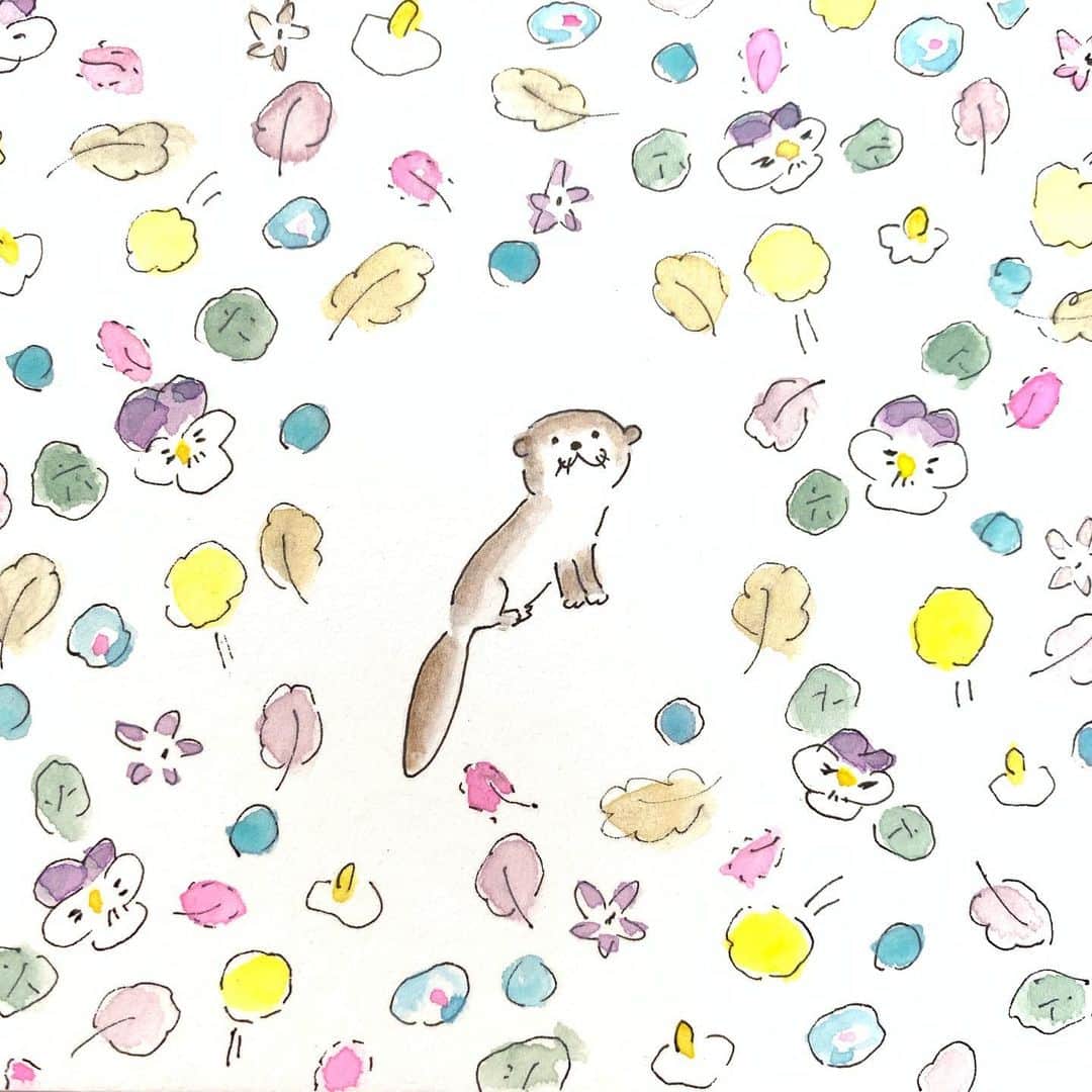 ハルペイさんのインスタグラム写真 ハルペイinstagram ども かわうそです 今日は世界かわうその日らしいです かわうそ 世界かわうその日 カワウソ コツメカワウソ Otters Otter Otterlovers Harupei Doodle Draw Drawing Illustrator