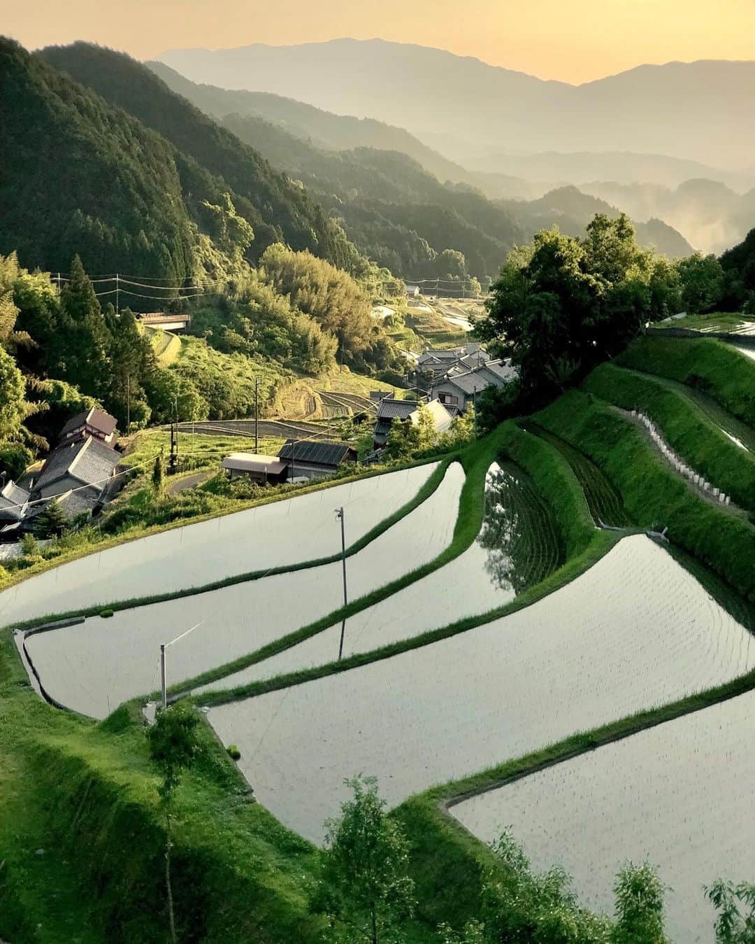 Koichiのインスタグラム：「. . Mountain terraces . . #BeautifulJapan #ShotOniPhone . Attachment lens by @tokyo_grapher Tele Lens 50mm #TG_Tele #ShotOn_TG .」