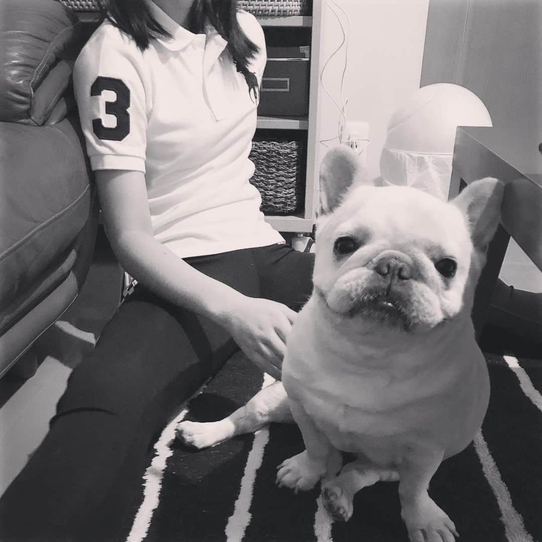 タニム（マーブル母）のインスタグラム：「* 最近、姉の側に良く来るようになったマーブル * #姉妹写真 #私のアモーレ🐷❤️」