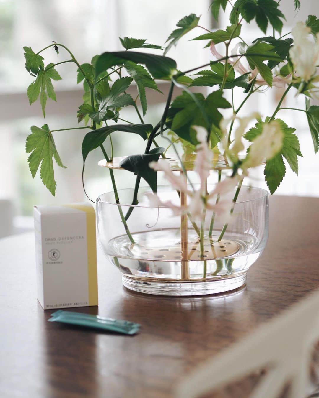 のインスタグラム：「Weekly flowers and morning routine🌿 . . . サプリをほとんど飲まない私が 4ヶ月続いているディフェンセラ . 続くにはやっぱりそれなりの理由があって まずは美味しいから そして1ヶ月くらいから徐々に手先やかかとから乾燥が気にならなくなったから🙆‍♀️ . 毎日のスキンケアの時間は出産後大幅に減って ズボラケアになりがちだから こうやって全身を内側からサポートしてくれるのは助かる🙏✨ . 今ならオルビス通販初めての方限定で、２週間トライアルセットも販売しているみたいなので、気になる方は試してみてね☺️ . . . #飲む次世代スキンケア #日本初販売 #肌にもトクホ #オルビス#orbis #ディフェンセラ  #インナースキンケア #オルビスディフェンセラ#defencera #pr #グロリオーサ#gloriosa #naoliving」