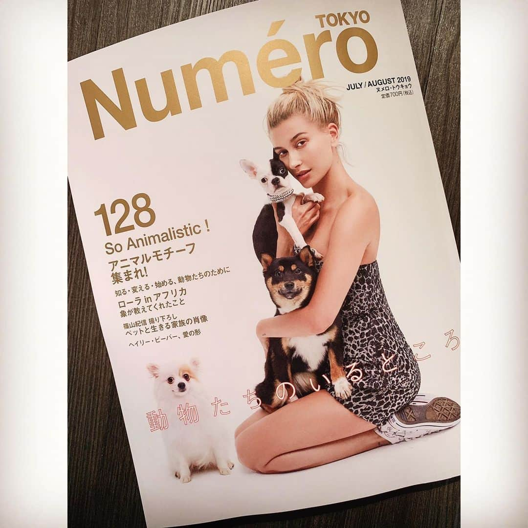 松島花さんのインスタグラム写真 - (松島花Instagram)「: 昨日発売の'Numero tokyo'📕に 保護猫🐈保護犬🐕活動についてお話した インタビューが掲載されています🐾 読んでもらえたら嬉しいです😌 殺処分ゼロへ向けて... できることから始めましょう🐾 : @hana_matsushima_animal  #numerotokyo #magazine  #ごろりん #ゴメズ #フェスター #花アニマル #保護猫 #保護犬 #保健所収容#命の期限 #終生飼育  #指1本でできるボランティア #殺処分ゼロ #殺処分反対 #殺処分より譲渡へ #猫 #犬 #生体販売反対 #大切な命 #ペットショップへ行く前に里親になる選択を」5月29日 21時16分 - hana_matsushima_official