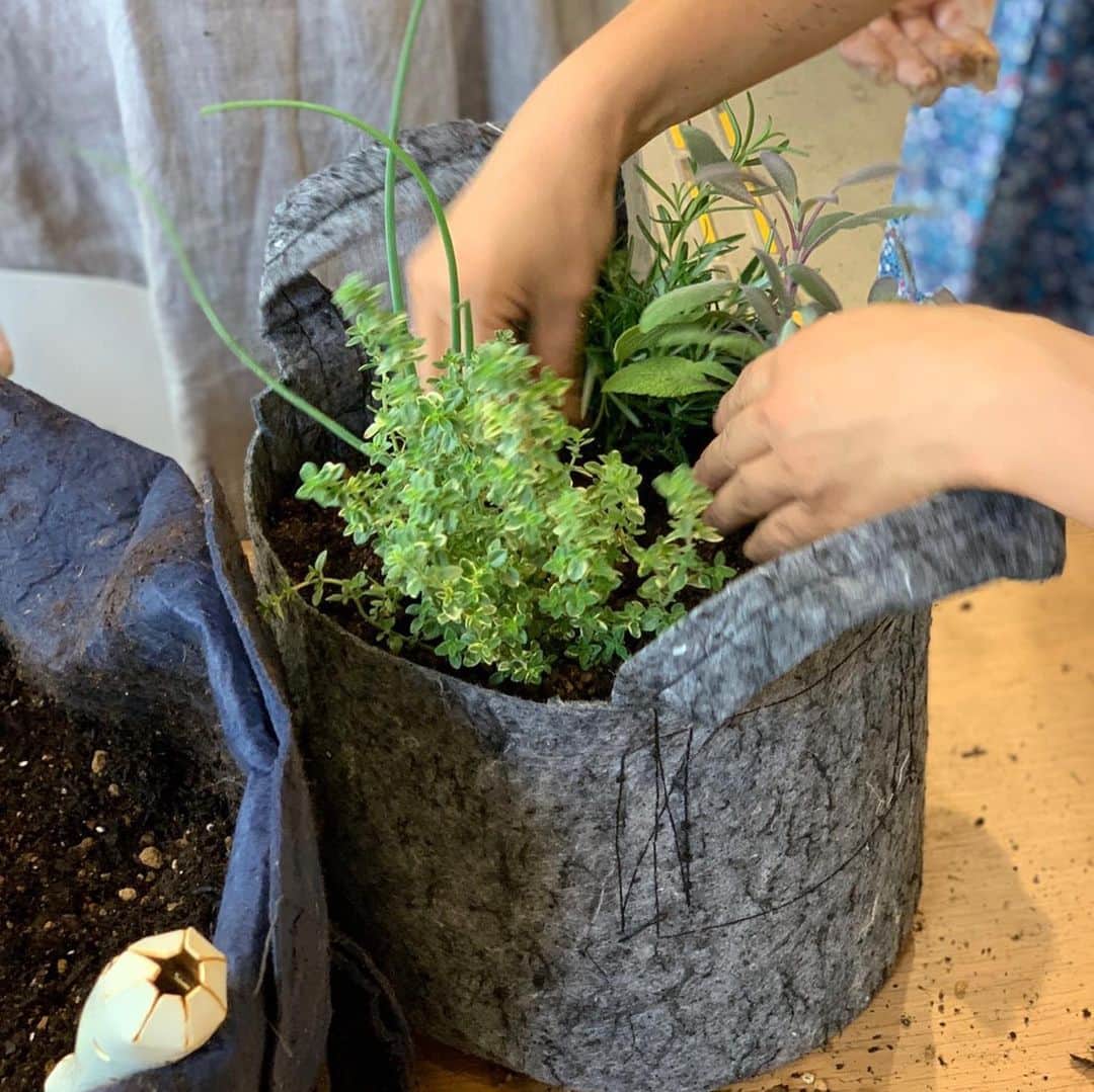 のインスタグラム：「昨日は天神無印さんにて、 育てて、食べよう！ハーブの寄せ植えワークショップでした。  ご参加頂いた皆さま、ご協力を頂いた無印さま、ありがとうございました！  私も楽しませて頂きました♪  ハーブの使い方や育て方などをお話し、数種類の中からハーブを選んで頂き、寄せ植え。色んなハーブの販売もさせて頂きました。  ハーブを育ててながら、使う事によって、ハーブの癒しや栄養を頂き、使う事によって、ハーブにとっては、それが新芽を出すきっかけ、風通しを良くする事に繋がり、生き生きと育つ事にもなるので、沢山使ってハーブに触れてください😁 ...限度はありますが☺︎ 最近、良く聞かれる 屋号はそんな身近に、ハーブに触れて欲しい という想いも込もっています。  またその話はいつかゆっくりと☺︎ 来週5/3月も同じ内容で開催させて頂きます。ありがとうございます✨  WS終了後、もしくはWS中も接客は出来ませんが、ハーブの苗の販売しています。気になるハーブがある方は覗いて下さいね。 ハーブクッキーも在庫がある分持っていきます。  #無印天神大名#ワークショップ#ハーブ#ルーツポーチ#食べるために育てる#もちろん食べる以外にも#ハーブ活用#herb#ハーブベジごはん#ハーブのお菓子#ハーブ教室#福岡#大阪」