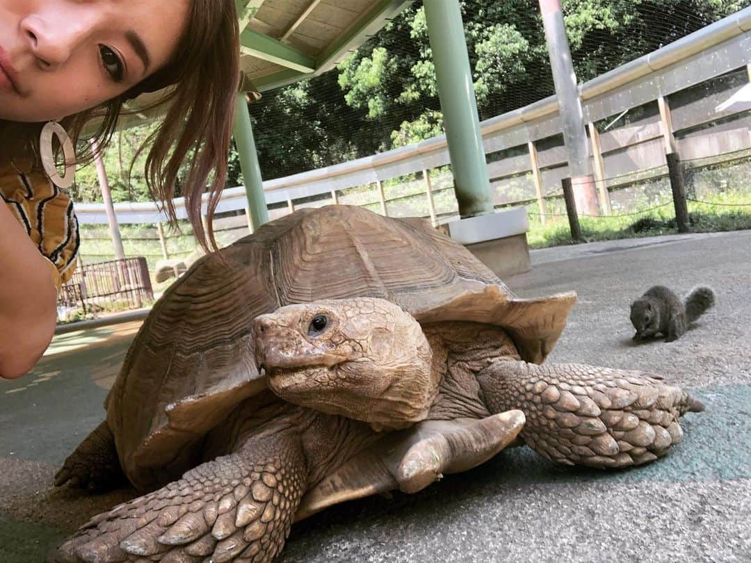 IMALUさんのインスタグラム写真 - (IMALUInstagram)「バンド名募集中🙋‍♀️🐢🐿」5月29日 12時37分 - imalu_0919