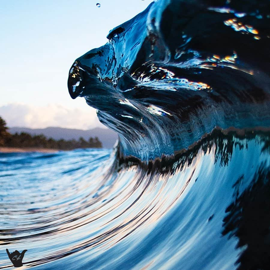 クラーク・リトルさんのインスタグラム写真 - (クラーク・リトルInstagram)「A few days ago 🌊🤙🏼 #hawaii #clarklittle 🆑」5月29日 12時38分 - clarklittle