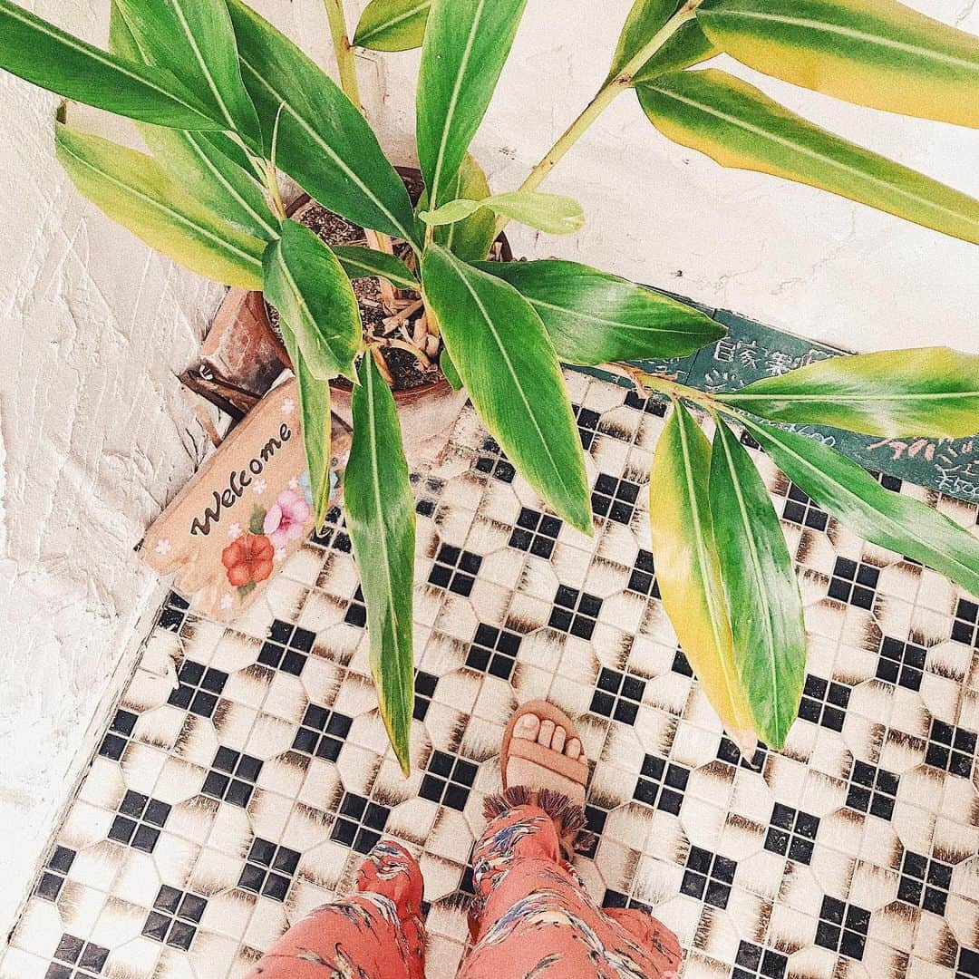 ほしのこのグルメインスタ