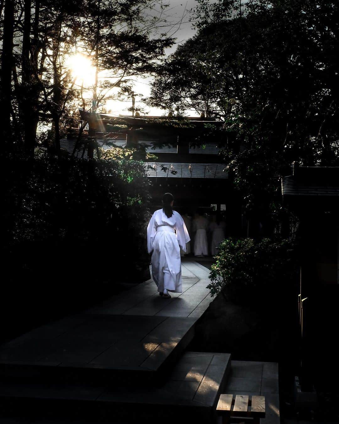 田村幸士のインスタグラム：「Godly light. . . . . #inspirationcultmag #thecreatorclass #500px #hsinthefield #theimaged #streetdreamsmag #SDMtravels #discovertokyo #explorejpn  #ig_today #wu_japan #jp_gallery #japanko_official #photo_jpn #tokyocameraclub #myfujilove #fujilove #fujixfam #fujifilm_catalog #streetshared #streetclassics #8jpn #streetmagazines #shintoshrine #japantrip #japan_focus #japaneseculture  #富士フイルム #伝統 #日本の風景」