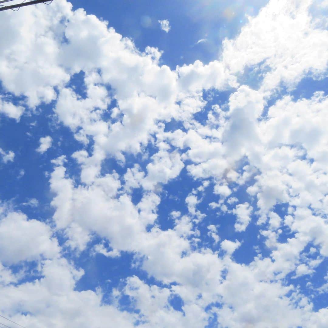 魔女菅原さんのインスタグラム写真 - (魔女菅原Instagram)「青空が広がっております✨ 海を見上げているみたい。  #魔女菅原」5月29日 14時28分 - hatsuyosugawara