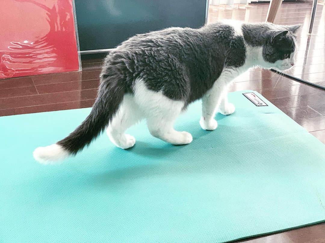 小谷実由のインスタグラム