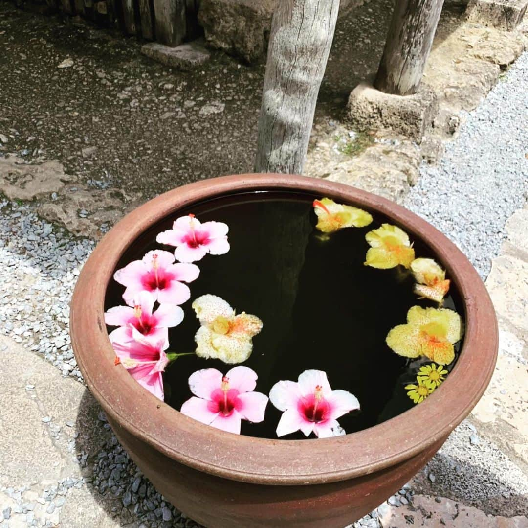 山内芹那さんのインスタグラム写真 - (山内芹那Instagram)「4世代の旅。  おばあちゃん77歳で60年ぶりの海。」5月29日 15時19分 - yamauchiserina