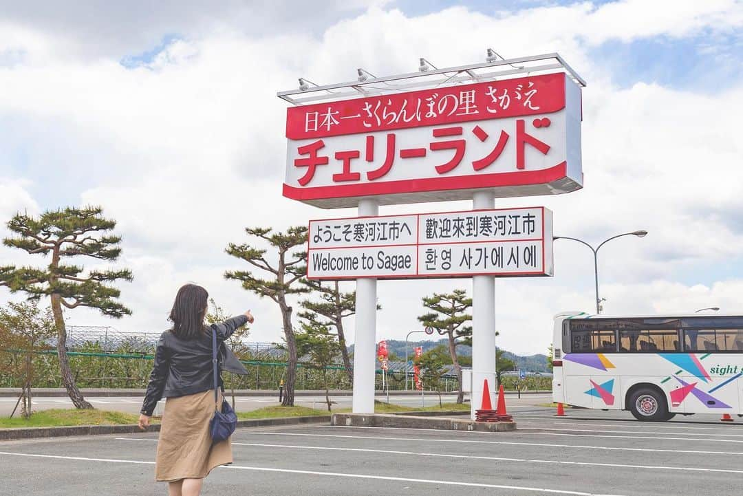 東北女子さんのインスタグラム写真 - (東北女子Instagram)「. 春天採草莓，夏天採櫻桃 . 日本超過75%的櫻桃產地在山形。想當初第一次吃到山形櫻桃時，感動到完全打破過去對櫻桃的印象👍 . #寒河江市 📍預約方式：🔍saruranbo.info，可預約當地的櫻桃果園 📍價格：3歲-7歲700円，7歲以上1500円 📍自駕的人，可以順道經過道の駅「#チェリーランド寒河江 」吃這裡超有名的義式冰淇淋❣️ . . . #東北女子travel #日本東北 #山形 #日本水果 #日本櫻桃 #さくらんぼ狩り #山形さくらんぼ #採櫻桃體驗 #日本山形 #山形旅行 #東北の夏 #東北女子 #寒河江 #yamagata」5月29日 15時36分 - tohoku_girl_official