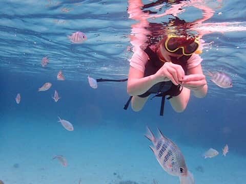 佐野優子のインスタグラム：「. 初シュノーケリング🥽🐠 エサやり必死すぎるけど… . 綺麗すぎた🥺✨ . . #石垣島  #八重山諸島  #シュノーケリング #Snorkeling #ツアーは安心 #ニモ #nemo」