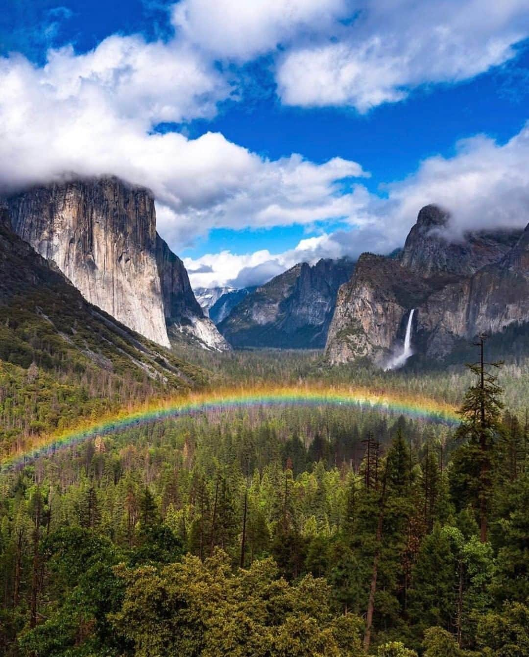 Discoveryさんのインスタグラム写真 - (DiscoveryInstagram)「"I couldn’t of dreamed a better welcome to the park." 😍 📸 + caption by Alex Groeper (@adventurealexphoto) . . . . #photography #photooftheday #explore #naturephotography #nature #potd #findyourpark #TravelIG #travel #CA #California」5月29日 21時37分 - discovery