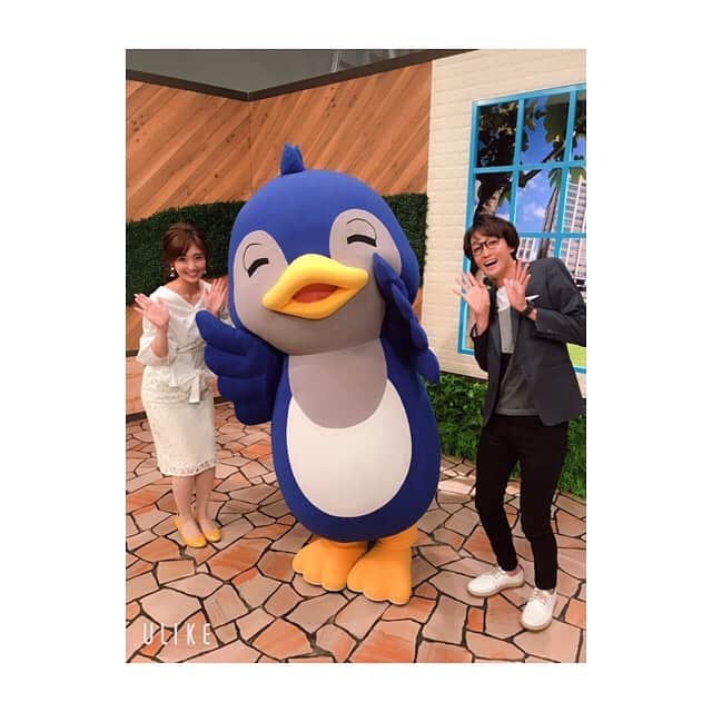川口智美のインスタグラム：「6月15日は #県民の日 。 という事で、なるとちスタジオに マスコットキャラクターの  #ルリちゃん が 遊びに来てくれました🐤💙 可愛かったー♪  詳しくは、6/9(日)朝9時〜 #とちぎテレビ  知っトク！なるとちっ をご覧下さい😋  2枚目は #トスバッティング スタイルで記念撮影⚾️ 永井コーチにしごかれていますw  今日もメイク室で 安定の #ジャイアンツ トークを していて、  永井さんに 「なんか川口ちゃんってさぁ 注目している選手が ミーハーじゃなくて ガチで野球好きな人だよね」と 言われました。 そうです、ガチな方です。笑  #栃木 #広報番組 #県庁 #とちテレ #永井塁 さん」