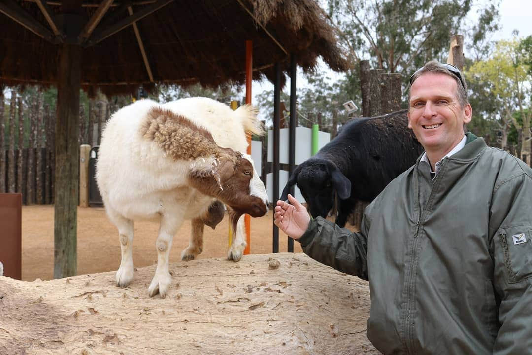 タロンガ動物園さんのインスタグラム写真 - (タロンガ動物園Instagram)「Bruce Murdock has a big job.  As a Precinct Manager at @TarongaWesternPlainsZoo, he manages a team of passionate keepers and volunteers who oversee the care of nearly 800 animals! Taronga Talks host Hayden Turner finds out how he manages it all, and how complex life is for species like lions, in our next podcast episode.  Tune in now at the link in our profile to hear this his story and share it with your friends and family! We’d love for you to rate and review Taronga Talks on iTunes to help us get the word out. Subscribe to receive new episodes every week on Apple and Google podcasts or Spotify.  #ForTheWild」5月29日 16時15分 - tarongazoo