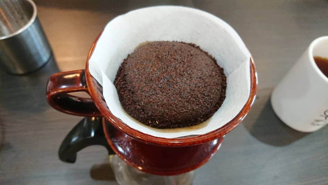 桜花さんのインスタグラム写真 - (桜花Instagram)「ひきたての豆は、 ふんわりほっこり🍀  ほわっとよい香りが、広がる🍀  コーヒー豆や挽き方で味が違う、 奥深い世界だなぁ🍀  コーヒーもっと知りたいな☕🍀 山で飲んだら最高だもの、、、(о´∀`о)  #コーヒー  #コーヒー豆 #よい香り  #薫り  #ハピピーン  #cafe  #coffee」5月29日 16時37分 - mountainohka