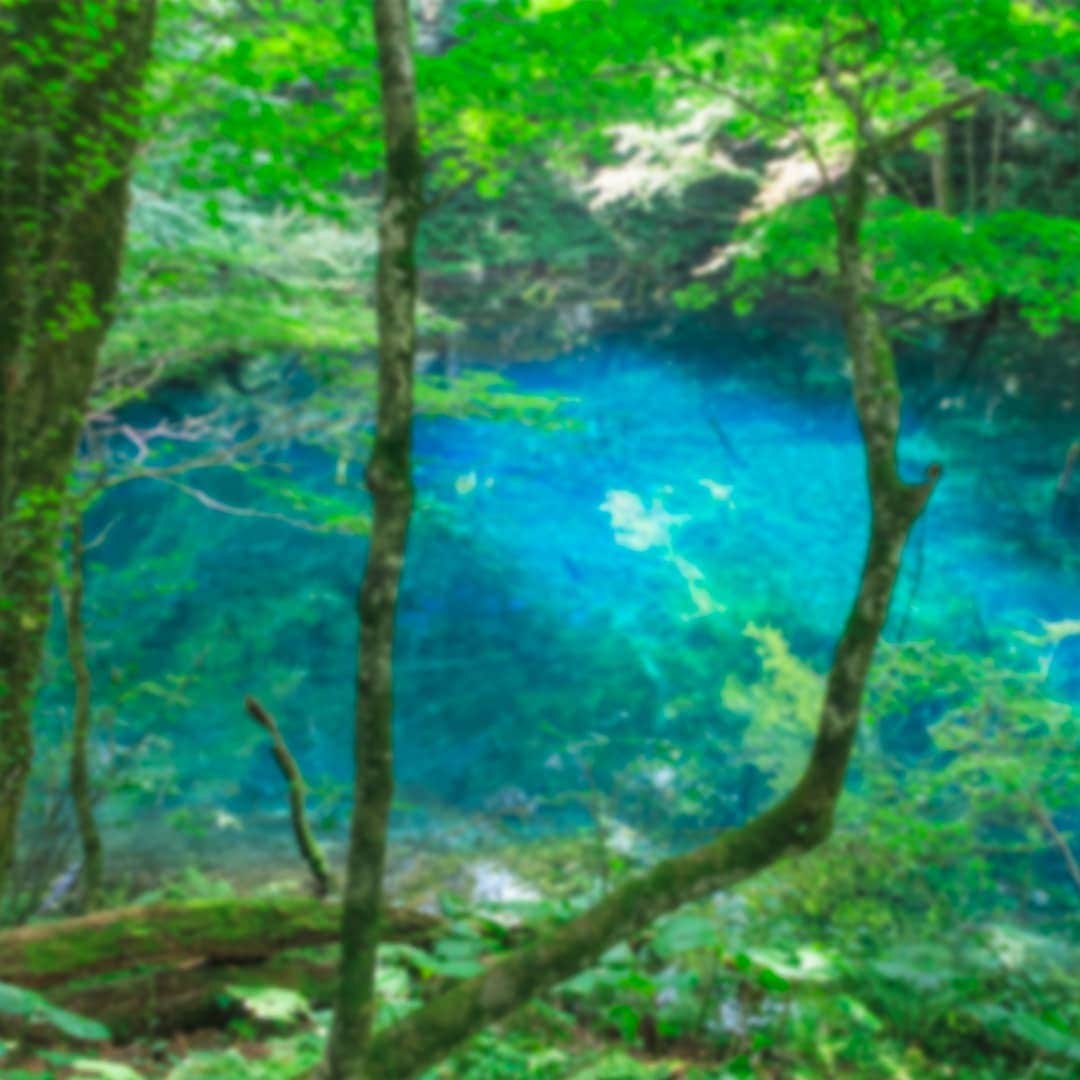 レンズアップルさんのインスタグラム写真 - (レンズアップルInstagram)「.⁣⁣ 🍃 #新緑 の美しい時期におすすめなスポットをご紹介⁣🍃⁣ ⁣ 十二湖の中でも特に人気のある青池。⁣ 一度見たら忘れられない鮮やかさで人々を魅了しています。⁣ ⁣ 📌白神山地 十二湖⁣ 住所：深浦町大字松神⁣ ⁣ ⁣ #観光 #インスタ映え #白神山地 #青森 #japan #初夏 #レンズ越しの私の世界 #旅行好きな人と繋がりたい #国内旅行 #女子旅 #女子旅行 #旅女子 #旅好き女子 #triptojapan #パレンテ #レンズアップル #WAVE #コンタクトレンズ #コンタクト #コンタクトデビュー #カラコン #カラコンレポ #レンズアップル大宮店 #レンズアップル千葉店 #beautifulview #青森観光 #青池 #カメラ好きな人と繋がりたい #映え」5月29日 17時03分 - lensapple