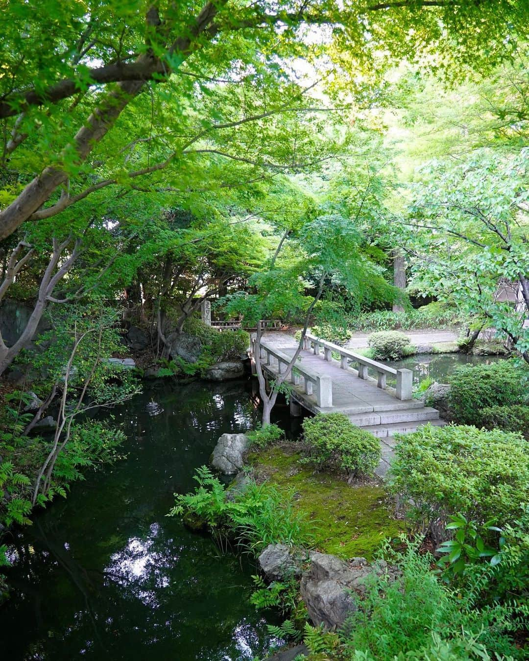 よみうりランドさんのインスタグラム写真 - (よみうりランドInstagram)「【聖地公園】 清々しい新緑が心地よい聖地公園。 6月からは「ほたる・ねぶたの宵」を開催！ゲンジボタルやヘイケボタルの幻想的で美しい光をお楽しみください。詳しくはHPで！ 【Holyland Park】 The fresh greenery at the holy place park is very relaxing and pleasant.  From June, we will also hold the “Hotaru and Nebuta no Yoi” light festival at the holy land park grounds! Please enjoy the fantastic and beautiful lights of Genji lanterns and Heike fireflies. More details on our homepage!  #よみうりランド #東京 #Tokyo #Japan #amusementpark  #ファミリー #家族 #遊園地 #休日 #小旅行 #女子旅 #観光 #観光スポット #観光地  #instagood #insta #インスタ映えスポット #いいねしてね #海外旅行大好き  #初夏 #聖地公園  #新緑  #ホタル」5月29日 17時35分 - yomiuriland