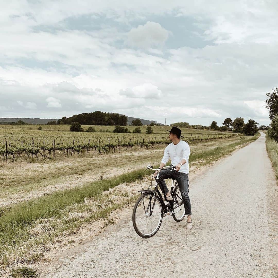 三浦大地さんのインスタグラム写真 - (三浦大地Instagram)「葡萄畑を自転車で駆ける。  田舎の無い俺にとっては至福の時。  #france #provence」5月29日 18時11分 - daichi_1127