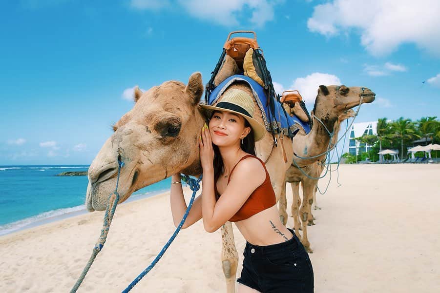 ソニアのインスタグラム：「IT’S LITERALLY HUMP DAY 🤣Swipe all the way for major MOOD 🐪 Seriously guys this was the most hilarious and unexpected encounter ever. Bali was purely a work trip, but I was thinking of checking out the camel tour if I had any spare time. Unfortunately, the schedule was tight and it was too last minute - they didn’t have any more slots. AND THEN. LO AND BEHOLD. While I was having breakfast by the beach at 7am in the morning at my hotel... THESE BEAUTIFUL BUGGERS CASUALLY STROLLED BY. WHAT EVEN 🤣🤣 I laughed so hard for a good 30 mins at the sheer coincidence of it all, looked out at the gorgeous beach while these majestic animals trotted off and just thanked the universe for all the amazing opportunities and moments that have come by in my life, big or small.」