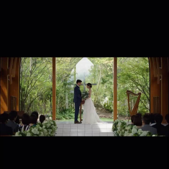 マイコ・ティファニーのグルメインスタ