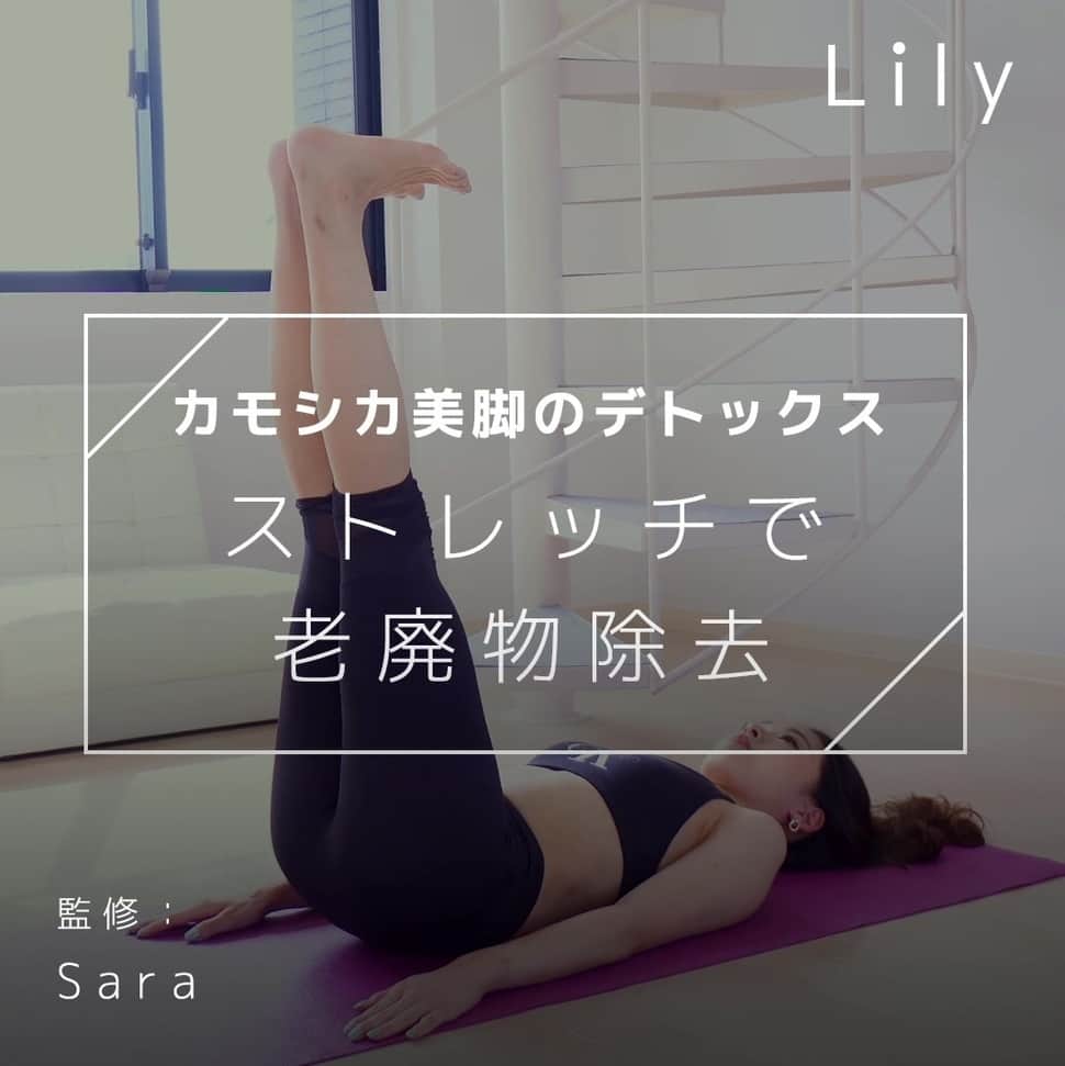 Lilyのインスタグラム