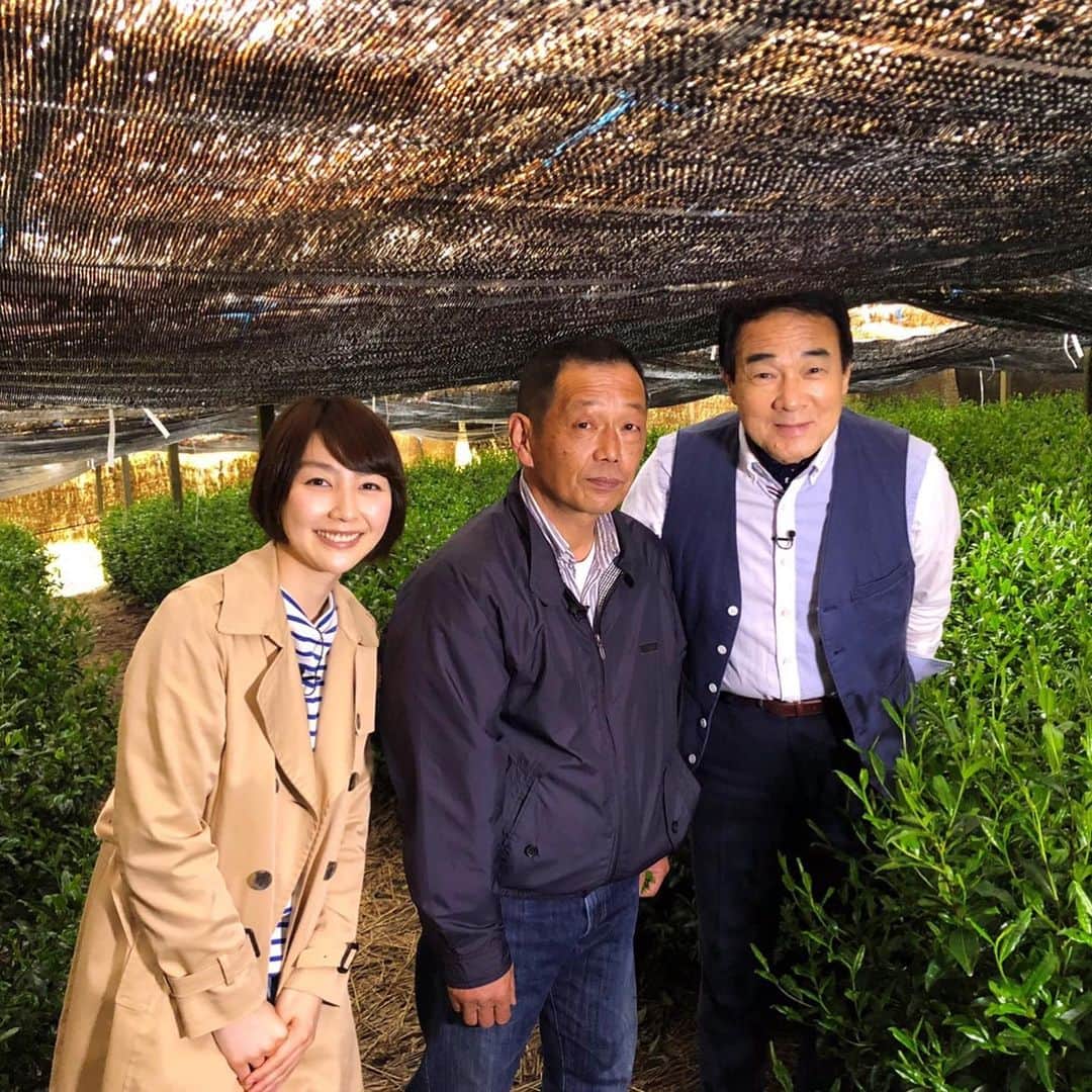 テレビ西日本「Cubetnc」さんのインスタグラム写真 - (テレビ西日本「Cubetnc」Instagram)「今回は、福岡市内から車で約1時間の、 “日本で最も美しい村“八女市星野村でキューぶらり。 郷土愛たっぷりの「おばしゃん」のおもてなし、 明治から続く日本一の玉露農家、 お茶どころならではの闘茶体験…。 さらには、街の光が届かない、 星野村ならではの絶景にも出会いました。 放送は今週土曜日、６月１日あさ10時25分からです。 お楽しみに！  #宮本隆治 #元ＮＨＫアナウンサー #橋本真衣 #キューぶらり　#八女市　#星野村 #福岡NEWSファイルCUBE #田久保尚英　#角田華子 #テレビ西日本　#TNC」5月29日 19時30分 - cubetnc