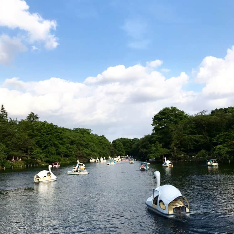 森貴美子さんのインスタグラム写真 - (森貴美子Instagram)「いつかの井の頭公園 🦢 新緑の季節好きです。 ・ #井の頭公園 #新緑 #好きな季節 #좋아하는공원  #좋아하는계절  #이노카시라공원  #일본모델」5月29日 19時51分 - morikimi_morikimi