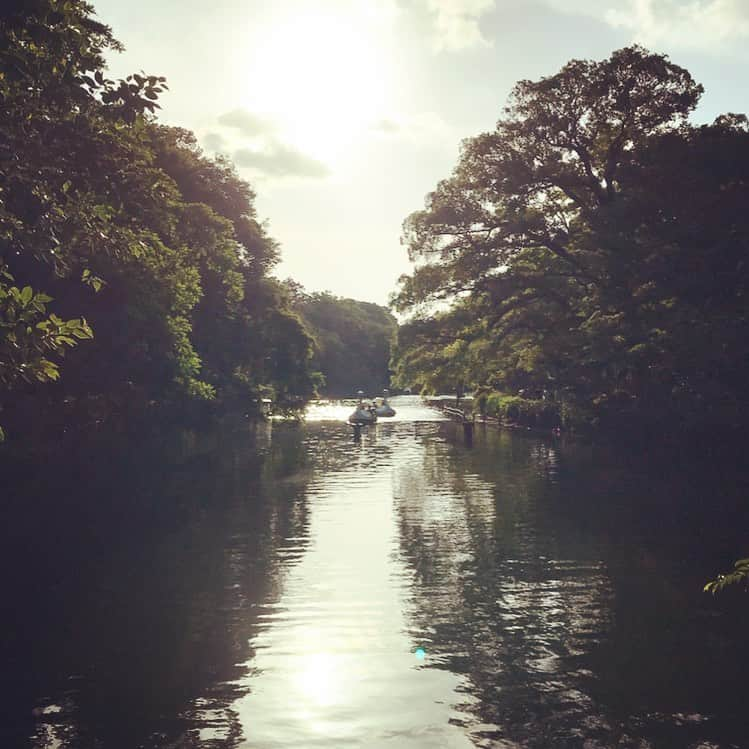 森貴美子さんのインスタグラム写真 - (森貴美子Instagram)「いつかの井の頭公園 🦢 新緑の季節好きです。 ・ #井の頭公園 #新緑 #好きな季節 #좋아하는공원  #좋아하는계절  #이노카시라공원  #일본모델」5月29日 19時51分 - morikimi_morikimi