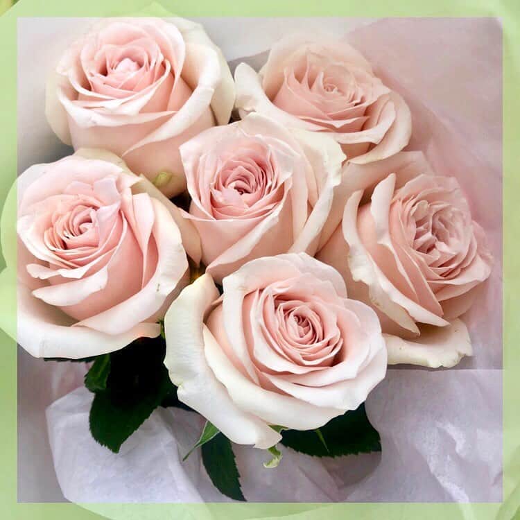 のインスタグラム：「【#本日のご褒美 】#水曜日はお花の日  sommeil（フランス語で“眠り”の意味）と呼ばれる薄いピンクローズに一目惚。バラが好きなので、潔く一種でまとめました。ギュッとインパクトがあるので、プレゼントに喜ばれるはず。 ちなみにバラは本数によって花言葉が変わります。6本の花言葉は「お互いに敬い、愛し、分かち合いましょう」だそうです🌹 #flowerwednesday #todayslittlehappiness #VOGUEGIRLエディターのお気に入り #ブーケ #バラのブーケ #ローズブーケ #ダナエフラワーズインテリア #danae #DANAEFlowersInterior #渋谷の花屋 #お花 #花のある生活」