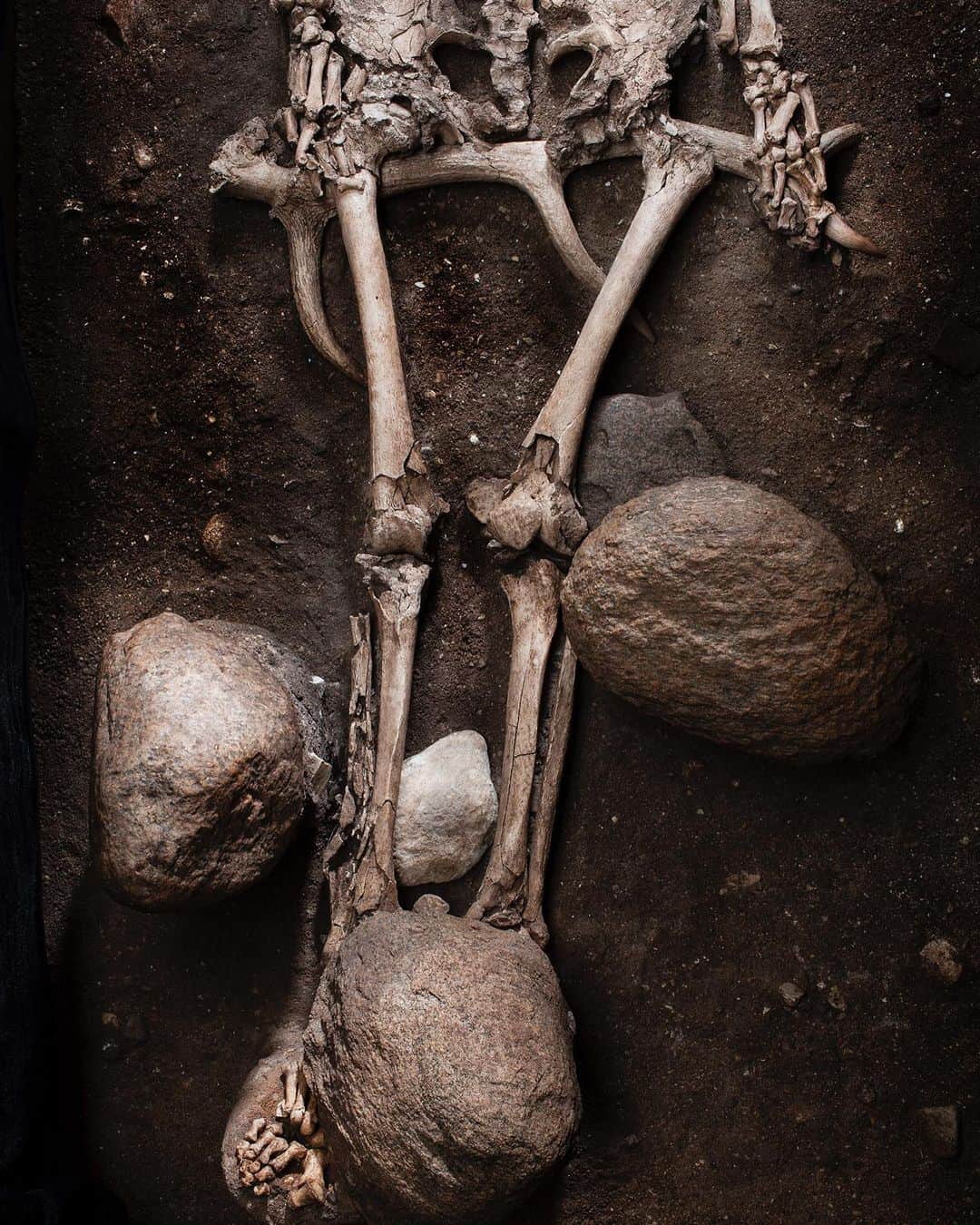 Robert Clarkさんのインスタグラム写真 - (Robert ClarkInstagram)「The remains of an old Hunter at the @MuseerRuderadal #DenMark. The VEDBÆK FINDS – Are from a 7000 Year old Hunting Culture. In the permanent exhibition you can see unique graves and stone implements from the time during the Stone Age, where Hunter-Gatherers settled the Vedbæk area here in Zeeland. The temperature was at the time 2-3°C higher than it is today when a fjord was formed in the present Vedbæk Maglemose. It was around this fjord people settled and where archaeologists in the 1970s and 1980s found tools of stone and bone from hunted game. These finds have given an insight into, not only how the hunter and food-gatherers lived, but also in how they died. #doggerland」5月30日 5時21分 - robertclarkphoto