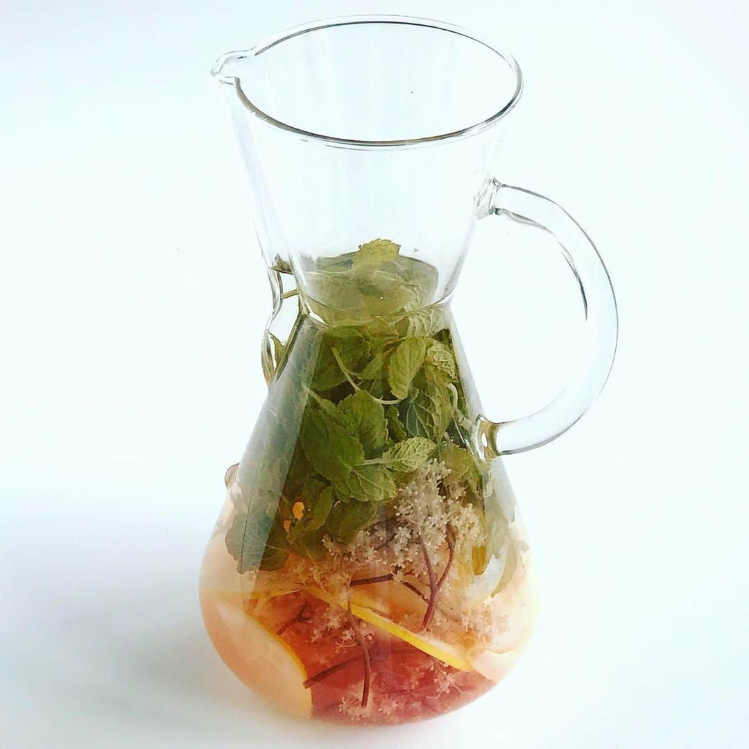 福田里香さんのインスタグラム写真 - (福田里香Instagram)「ピンクのエルダーフラワーと 🍋は、コーディアルを絞った残り滓。 そこにミントをたっぷり足して お湯を注いでそのまま冷ます。 • ガラスの中はまるで初夏の草原のよう。 しかも、なかなかおいしい。 フレーバーウォーターとハーブティーの 中間くらいの味わい。 • #始末のいい飲み物 #ピンクのエルダーフラワーコーディアル #エルダーフラワーコーディアル #earlysummerfun  #elderflower #elderflowercordial  #elderflowerblacklace」5月30日 5時54分 - riccafukuda