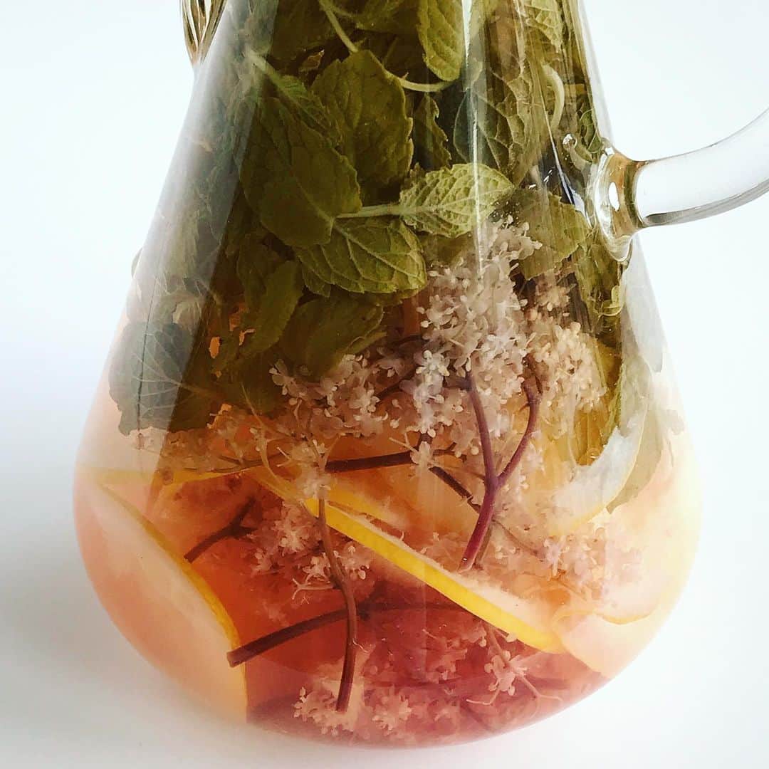 のインスタグラム：「ピンクのエルダーフラワーと 🍋は、コーディアルを絞った残り滓。 そこにミントをたっぷり足して お湯を注いでそのまま冷ます。 • ガラスの中はまるで初夏の草原のよう。 しかも、なかなかおいしい。 フレーバーウォーターとハーブティーの 中間くらいの味わい。 • #始末のいい飲み物 #ピンクのエルダーフラワーコーディアル #エルダーフラワーコーディアル #earlysummerfun  #elderflower #elderflowercordial  #elderflowerblacklace」