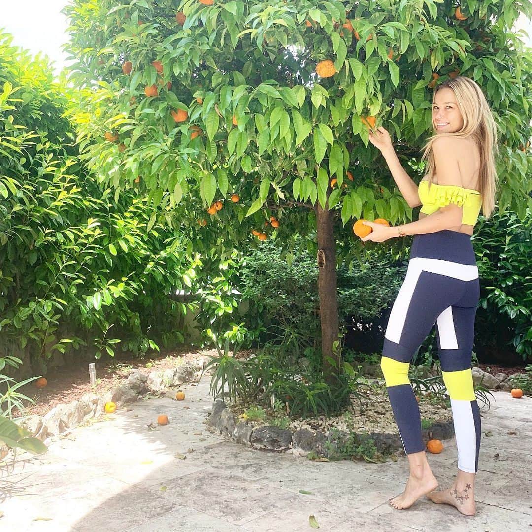 ペトラ・ネムコバさんのインスタグラム写真 - (ペトラ・ネムコバInstagram)「My dream is to have a fig tree in my garden 😋, but this orange tree while staying in #Cannes will do for now. 😉 My soul jumps when I’m close to nature as we are one. 💚#FunFacts: This fun spring colored @portdebras #activewear will biodegrade like the oranges. 🍊 Happy #WellnessWednesday. 😃 Take good care of your temple/body and our temple/ planet too. 🙏🌎🙏#SustainableFashion #ConsciousLife」5月29日 21時53分 - pnemcova