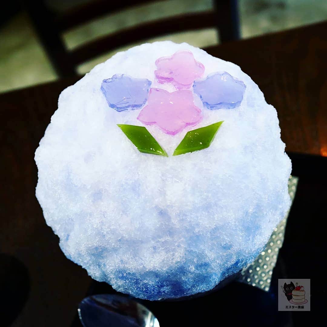 ミスター黒猫（黒猫仙人）のグルメインスタ