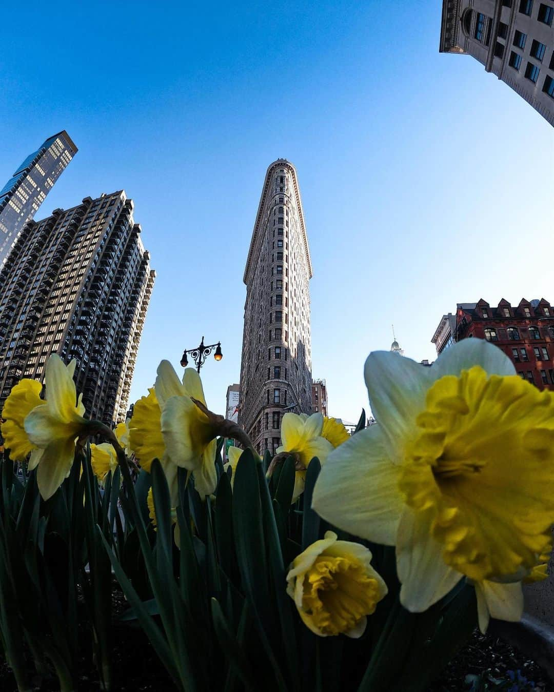 goproさんのインスタグラム写真 - (goproInstagram)「Photo of the Day: In a New York state of mind with @dbfoto_ + #GoProHERO7 Black. • • • #GoProTravel #TripOn #NYC #FlatironBuilding #Cityscape #CityTravel」5月29日 22時17分 - gopro