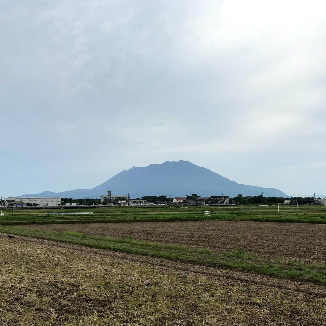 岡本安代さんのインスタグラム写真 - (岡本安代Instagram)「▶︎桜島。 今日は霧島市へ。 以前、恩師に尋ねたことがある。 「先生はなぜ、先生になろうと思ったんですか？」 先生の意外な答えに驚いた。 . 桜島は、同じ鹿児島でも 見る場所によって、その表情を変える。 . 今日霧島市から見た桜島は、 とてもなだらかな景色に見えた。 . いつか見た鹿児島市からの 勇壮な表情とはまったく違う。 どんな桜島であっても、 私はこの桜島を見て育ったし、誇りに思う。 #続きはアメブロで  @okamoto.yasuyo  #走り続ける岡本家  #５人の子育てママウンサー  #岡本安代」5月29日 22時15分 - okamoto.yasuyo