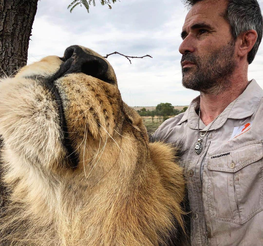 Kevin Richardson LionWhisperer のインスタグラム