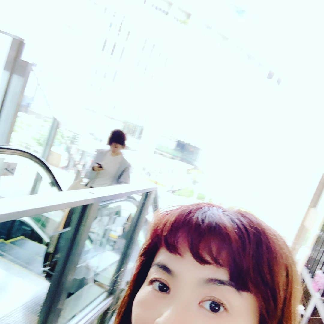 榊いずみさんのインスタグラム写真 - (榊いずみInstagram)「一足早く大阪へ。大阪駅から梅田、なかなか迷う‼️明日は十三ファンダンゴで待ってます‼️19:00スタート。遅れないでねー✨ #榊いずみ #橘いずみ #木村充揮 #有山じゅんじ #清水興 #リクオ #佐藤亙 #森信行 #ファンダンゴ  #osaka #fandango」5月29日 23時30分 - izumizmroom