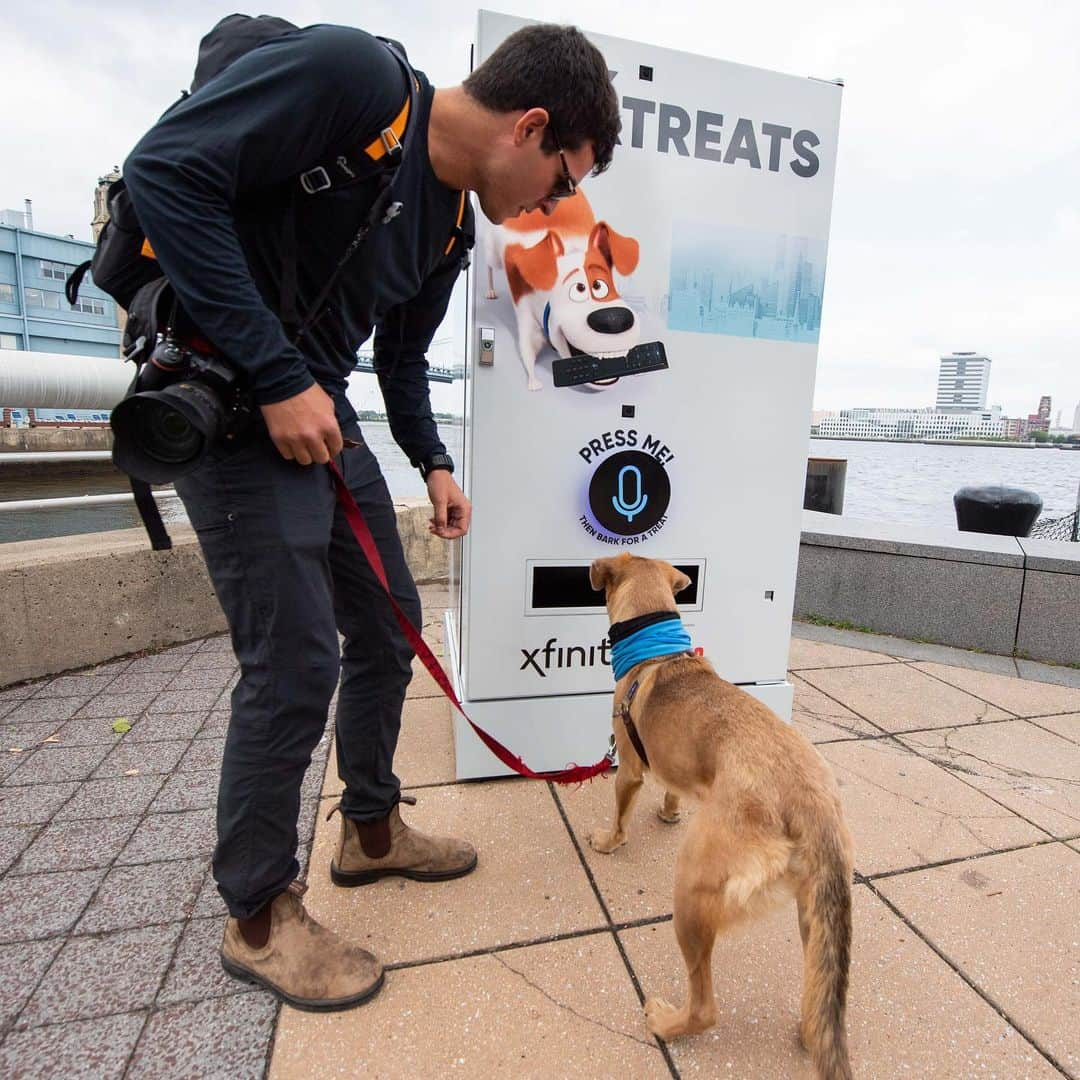 The Dogistさんのインスタグラム写真 - (The DogistInstagram)「PHILADELPHIA: Huge thank you to everyone who came out to Penn’s Landing yesterday to hang out with me and @KeepingFinn, and try out the @Xfinity #XfinityBarkMachine! It was a huge, drooling success!  Since it’s our last day in Philly, we will be doing ONE MORE MEETUP THIS AFTERNOON. Please join us from 2-4pm at The Schuylkill River Dog Park (300 S 25th St, Philadelphia). We look forward to seeing you there! #ad」5月29日 23時56分 - thedogist