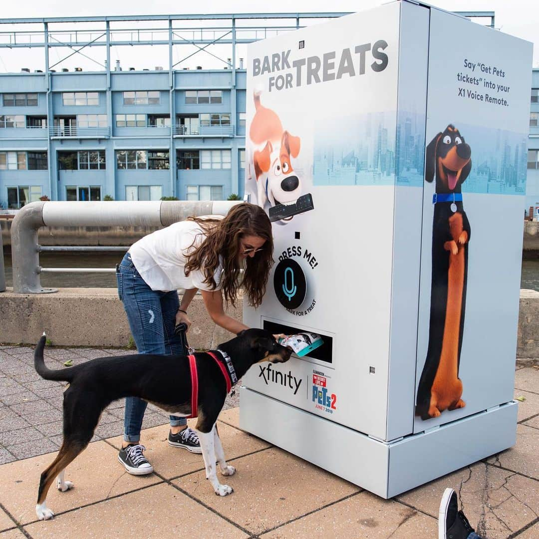 The Dogistさんのインスタグラム写真 - (The DogistInstagram)「PHILADELPHIA: Huge thank you to everyone who came out to Penn’s Landing yesterday to hang out with me and @KeepingFinn, and try out the @Xfinity #XfinityBarkMachine! It was a huge, drooling success!  Since it’s our last day in Philly, we will be doing ONE MORE MEETUP THIS AFTERNOON. Please join us from 2-4pm at The Schuylkill River Dog Park (300 S 25th St, Philadelphia). We look forward to seeing you there! #ad」5月29日 23時56分 - thedogist