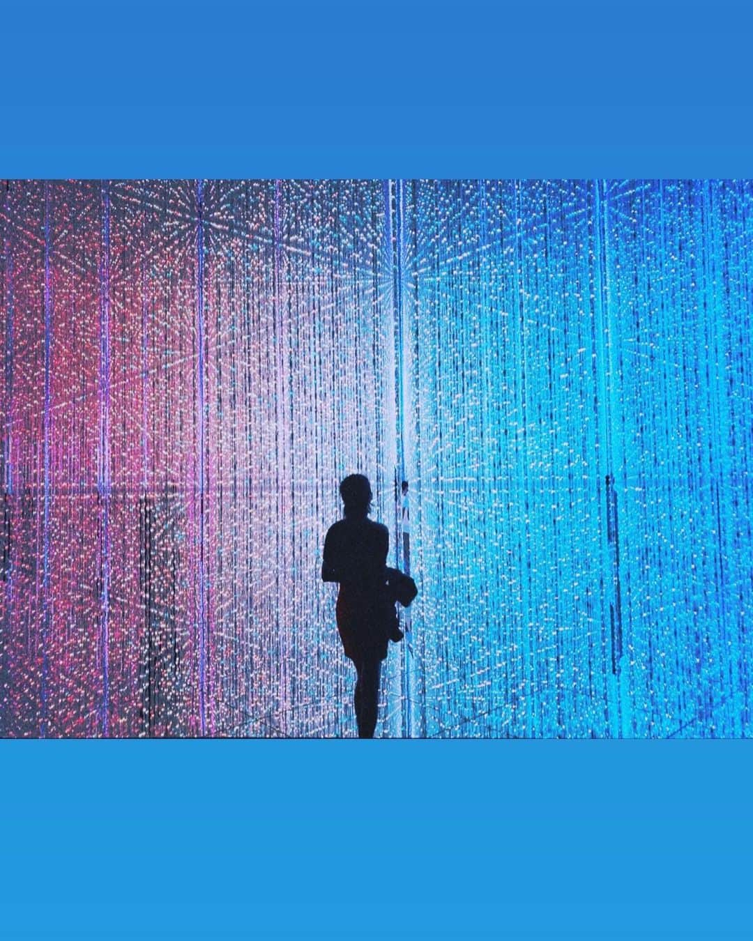 る鹿さんのインスタグラム写真 - (る鹿Instagram)「#teamlab」5月30日 0時11分 - luluxinggg