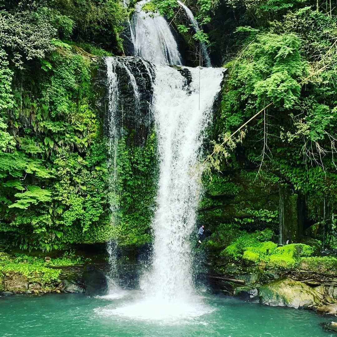 井口謙さんのインスタグラム写真 - (井口謙Instagram)「今週月曜日の今日感テレビでは、 大分県玖珠町の万年山(はねやま)に咲き誇るミヤマキリシマと、麓の慈恩の滝を紹介しました！ ． マリンメッセ福岡より広い4万平方メートルに渡って咲き誇る七色のミヤマキリシマ… そして裏に回ってみる滝の迫力… 圧巻。 落ち込んだ時とかに行きたい。笑 ． 今週末まではまだまだ見頃！ 家族で行くも、1人旅で行くもよし。 是非！！！ ． #ミヤマキリシマ #万年山 #慈恩の滝 #撮影に夢中になってたら #撮られてました #今日感テレビ #井口謙」5月30日 0時04分 - iguchi_ken_rkb