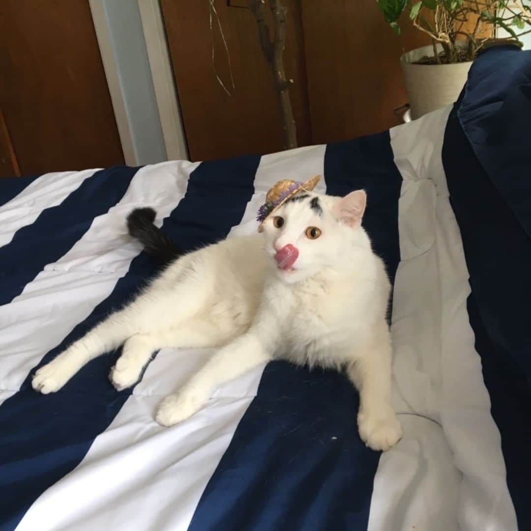 Samのインスタグラム：「Believe it or not, sometimes Sam isn’t very graceful.」