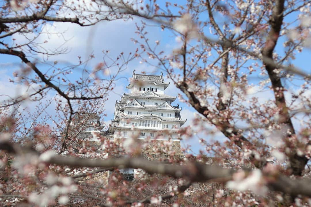 吉松育美さんのインスタグラム写真 - (吉松育美Instagram)「. #nofilter . Too beautiful and gourgious #Himeji castle "姫路城"🏯🏯🏯 . . #姫路城 迫力満点でしたー✨天守閣までの階段が急すぎて怖かったけど😂💦 . あまりの晴天に写真は #フィルター無し です✨✨✨ . . #bestlocations #bestlocationever #epicpictures #photographyislifestyle #justshootit #kyotogram #tokyogram #Kyoto_Japan #japanphotos #japanphotograph #tokyosnap #eosm100 #my_eosm100 #himejicastle #japancastle #姫路城 #ひめじ」5月30日 0時33分 - ikumiyoshimatsu