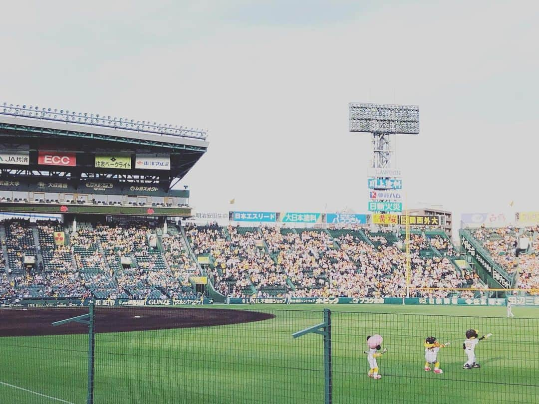 前田彩名さんのインスタグラム写真 - (前田彩名Instagram)「阪神ー巨人戦！ 昨日は雨で中止になった分、 両チーム譲らぬ展開で延長へ。  11回、ノーアウト満塁という 大チャンスを結局活かせず、 その時の甲子園中のため息ったら。。笑  12回、再び1アウト満塁のチャンス。 代打の髙山がサヨナラ満塁ホームラン！ 一塁アルプス席から見上げながら、 これはファウルになるのか？ それとも‥👀 と、ボールを目で追ったやいなや、 入った！！！！直後、大歓声！！！ 劇的なサヨナラ勝ち🙌 大盛り上がりでした！！ 隣にいたおじさんが、 代打・髙山とコールされた時に 髙山なら行ける！！と言ってて、 本当にその通りになりましたね🤗 (ちなみに鳥谷が出てくる時は 全然ダメと言ってたけど、 私もそう思ってた😅調子よくない？) ともあれ！ これで阪神は2位に浮上！！ 1位は渡さない、ぞ⚾︎🔥笑」5月30日 1時22分 - ayana.maeda