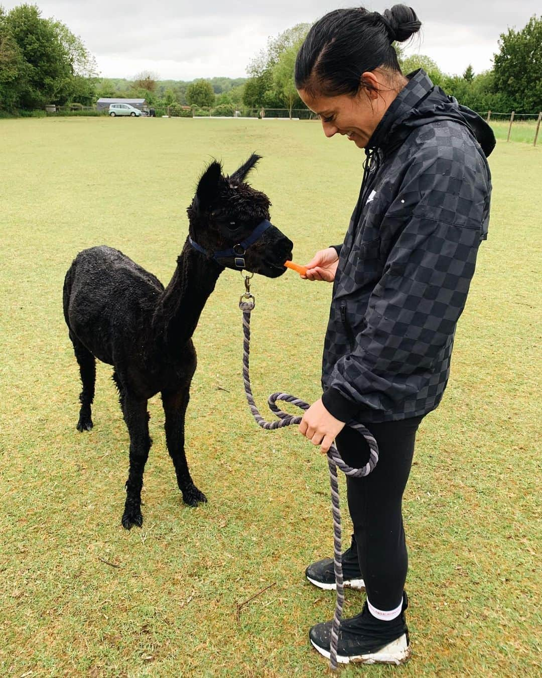 アリ・クリーガーさんのインスタグラム写真 - (アリ・クリーガーInstagram)「Cueva, alpaca your bags, we’re going to France.✌🏽💃🏻」5月30日 3時50分 - alikrieger