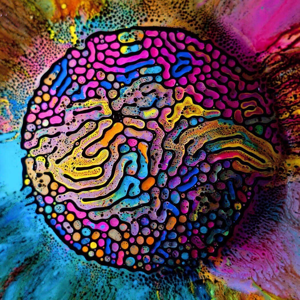 TED Talksのインスタグラム：「Excuse us while we stare at this image FOREVER. This is what happens when watercolor paint mixes with ferrofluid (a black liquid containing tiny particles of metal). Artist Fabian Oefner placed a magnet under the ferrofluid, which caused the metallic liquid to form unique patterns. Then he added the watercolors, which repel the ferrofluid like oil repels water. You’re looking at the result of this incredible process. See the full demo in action at go.ted.com/magneticliquid.  Image courtesy of @fabianoefner」