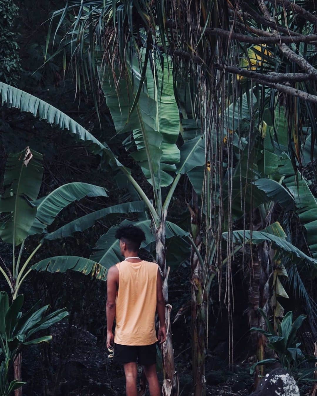 Joeさんのインスタグラム写真 - (JoeInstagram)「Take me back. #Moorea #Jungle」5月30日 14時38分 - joe_tokyodandy