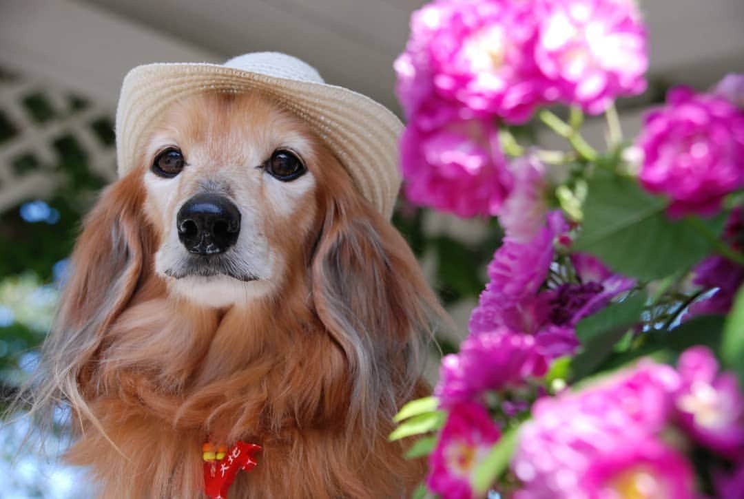 ?モデル?大地?のグルメインスタ